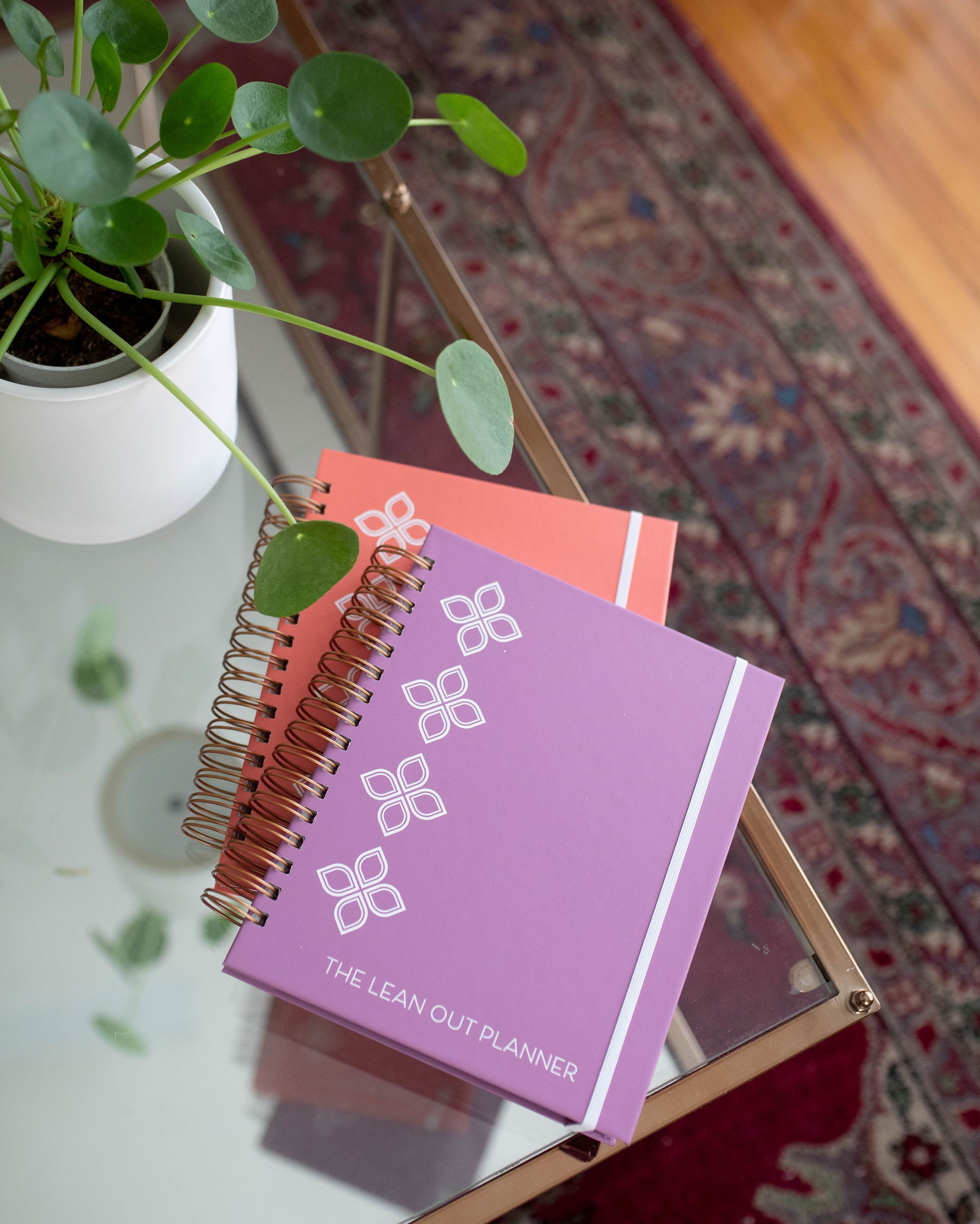 90-Day Visionary Planner