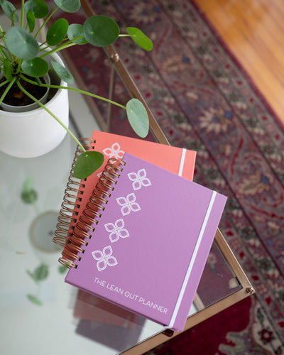 90-Day Visionary Planner