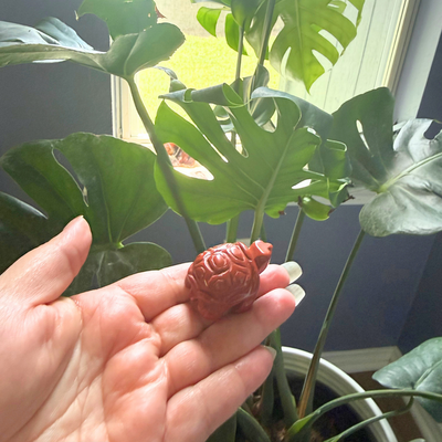 WISDOM TURTLE Stone Figurine