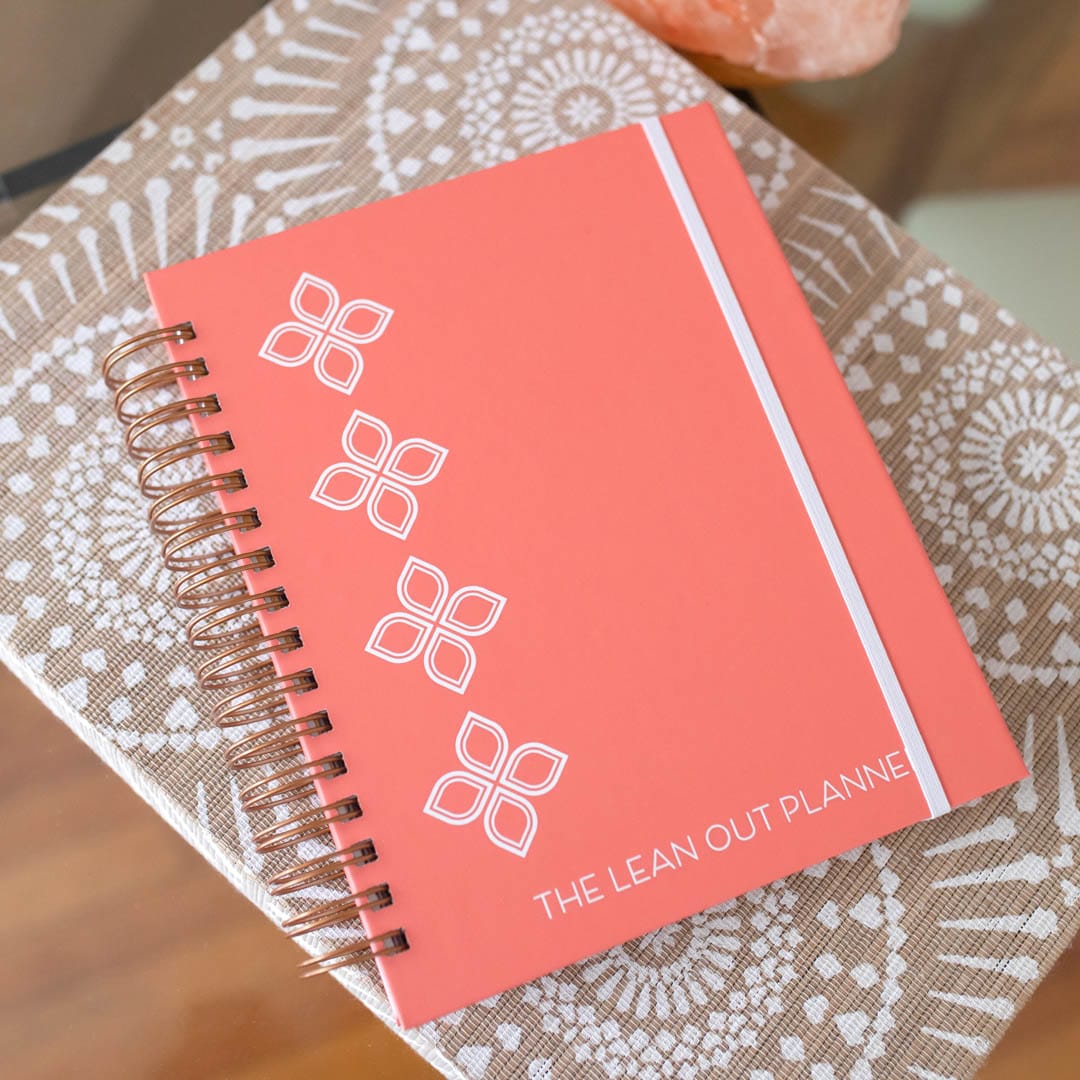 90-Day Visionary Planner