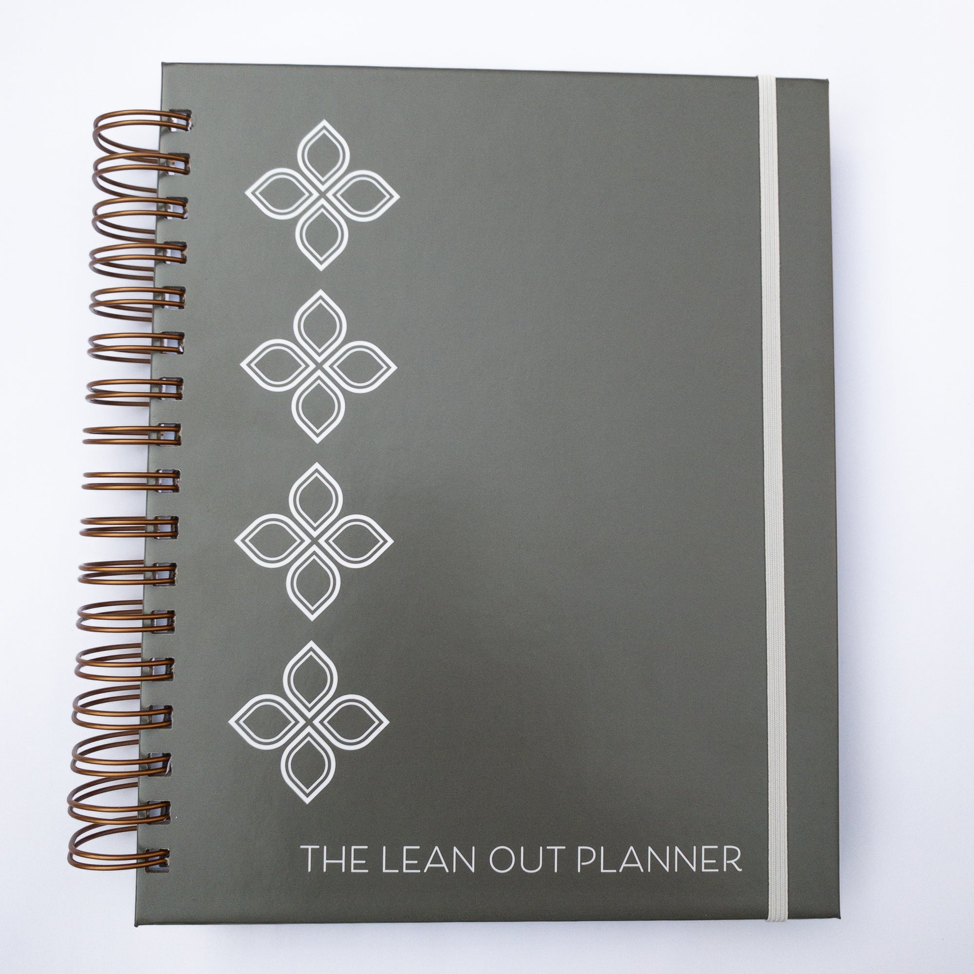 90-Day Visionary Planner