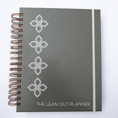 90-Day Visionary Planner