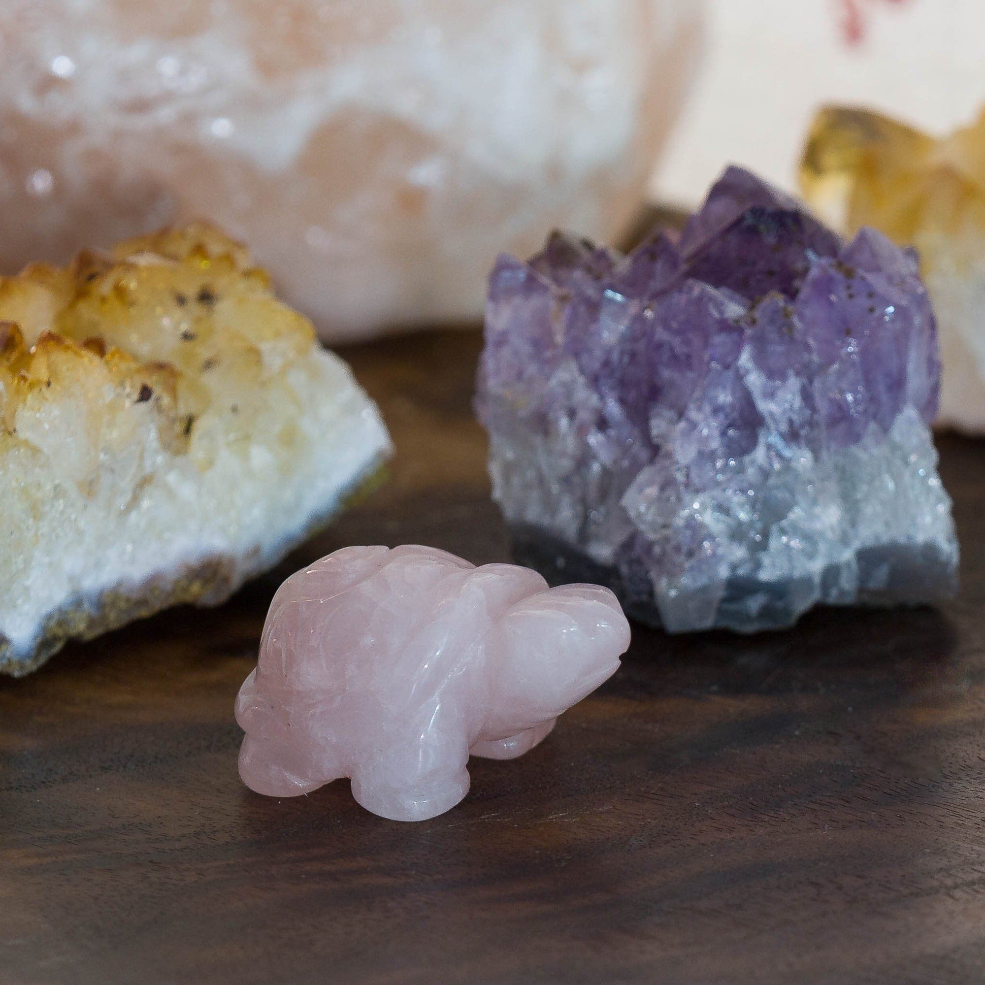 Rose Quartz Turtle Figurine | Liminara