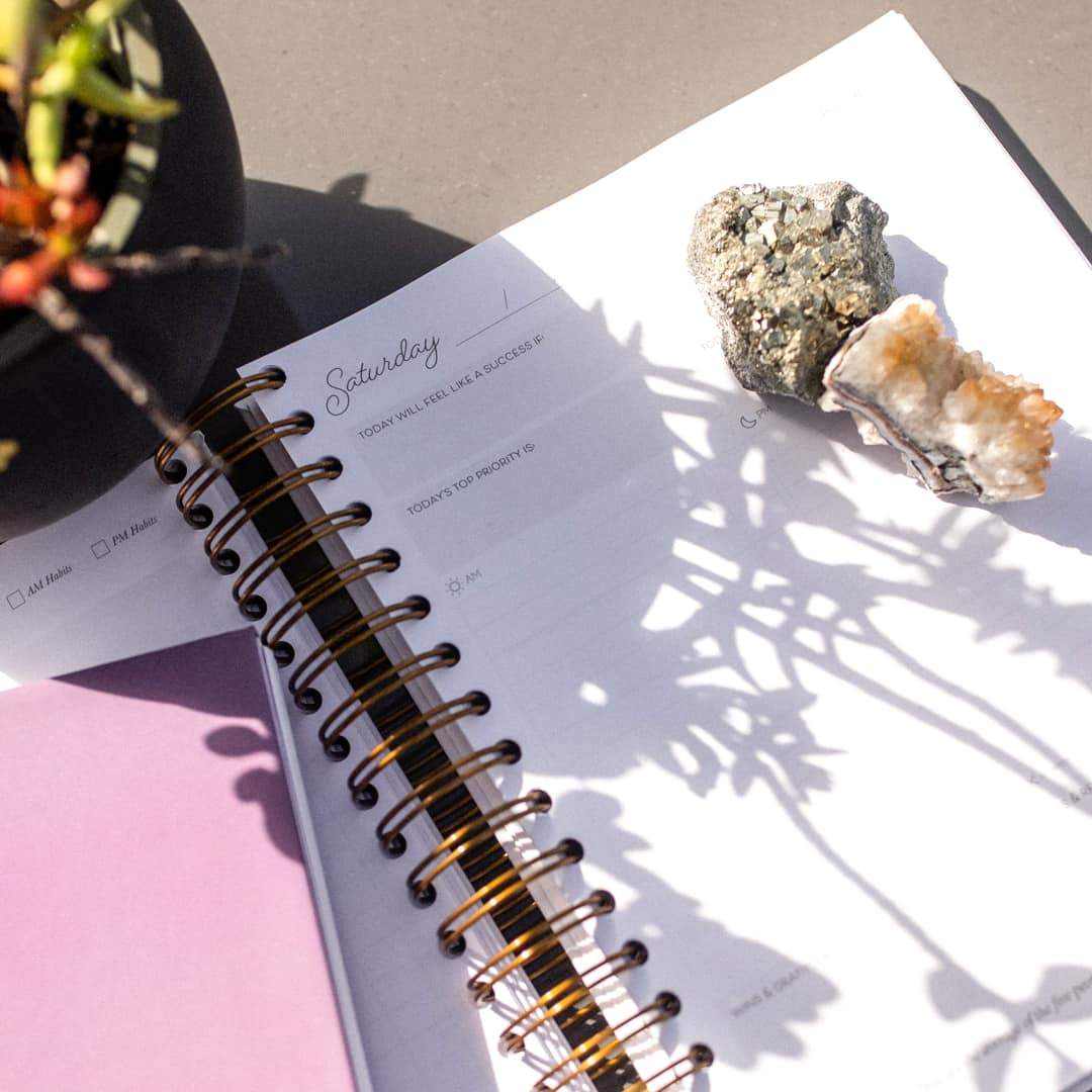 90-Day Visionary Planner