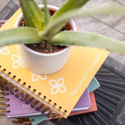 90-Day Visionary Planner