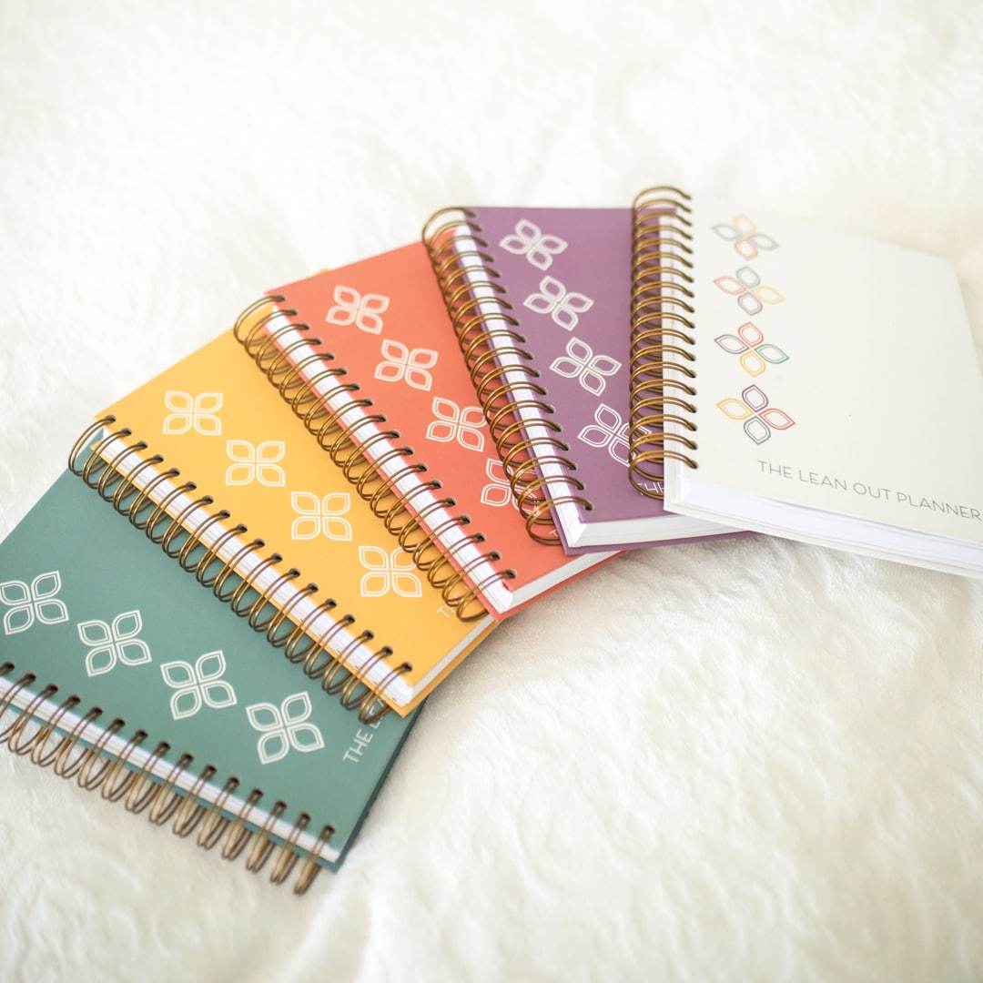 90-Day Visionary Planner
