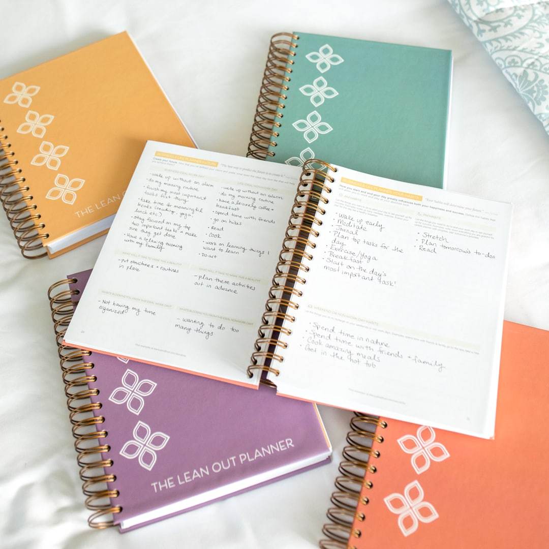 90-Day Visionary Planner